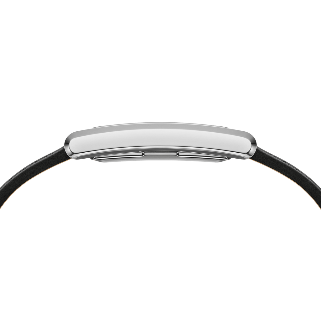 Bound Black Crocodile Silver