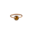 Audrey Ring Tiger Eye Rose Gold